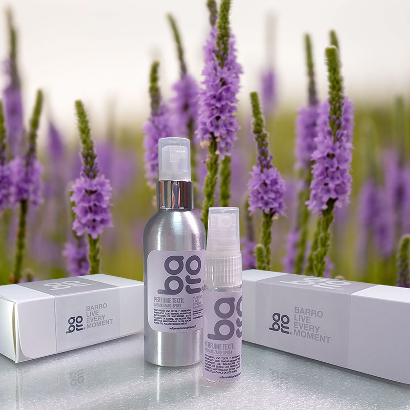 verbena verbena barro